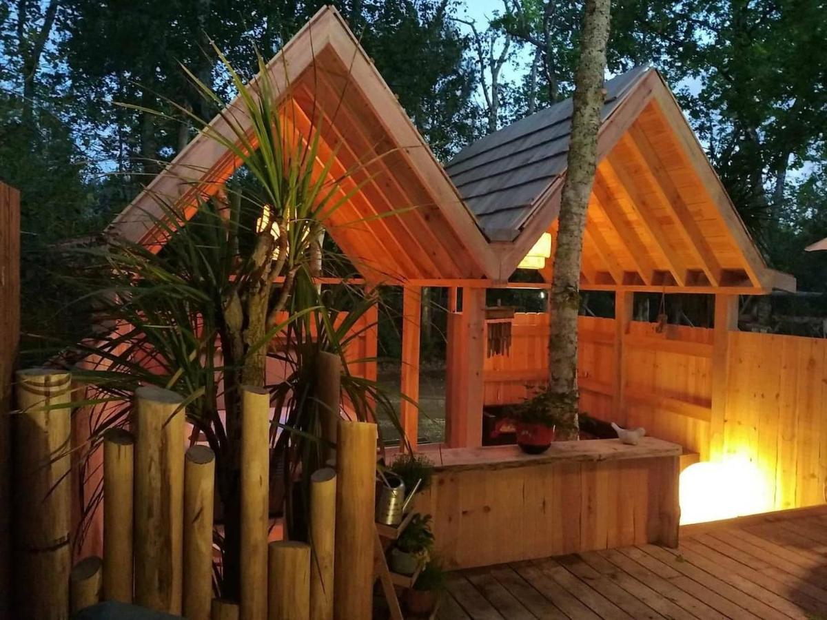 Le Petit Coin De Paradis Lacanau Villa Luaran gambar